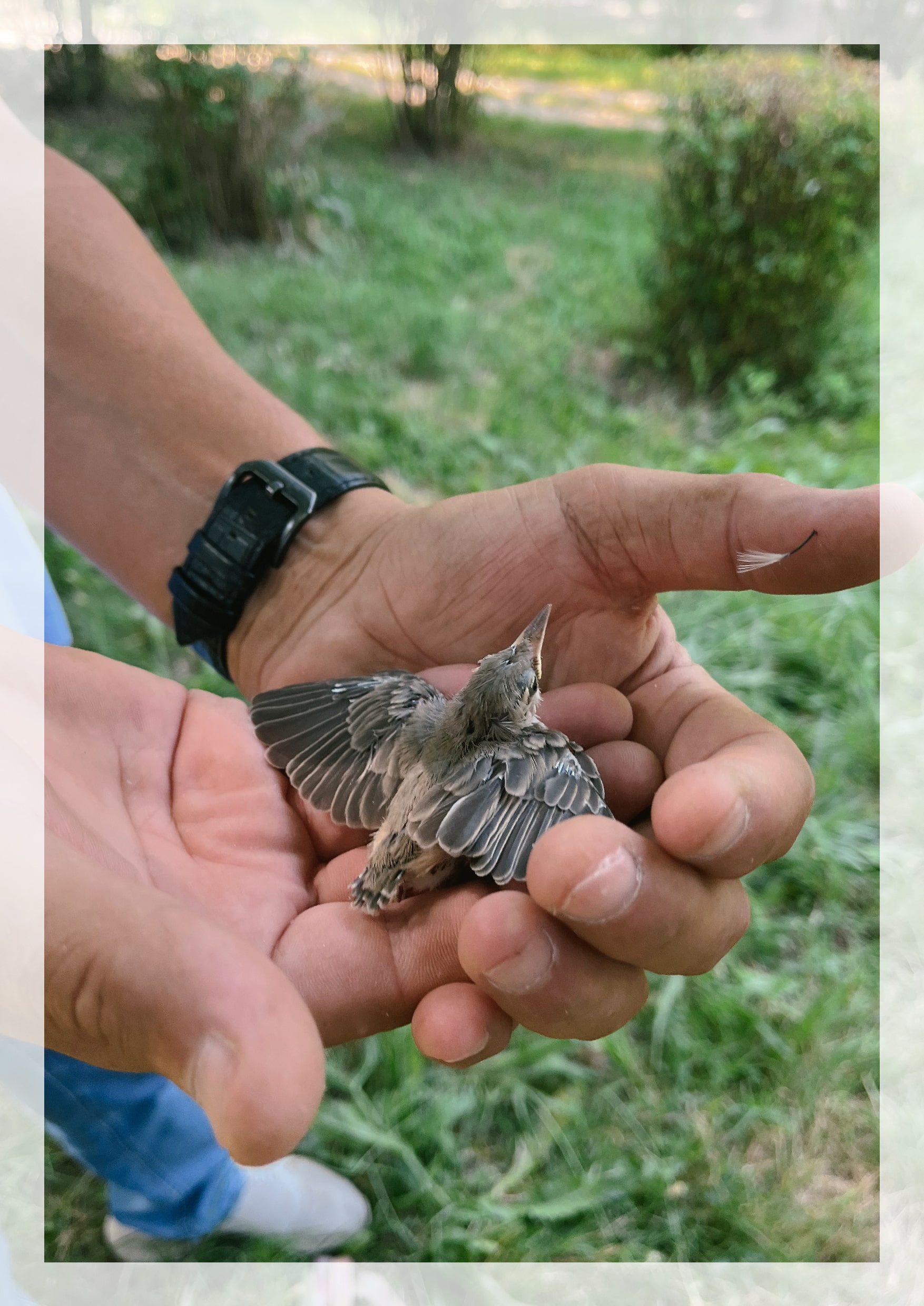 photos web S&L_Artboard 1 copy 2-min