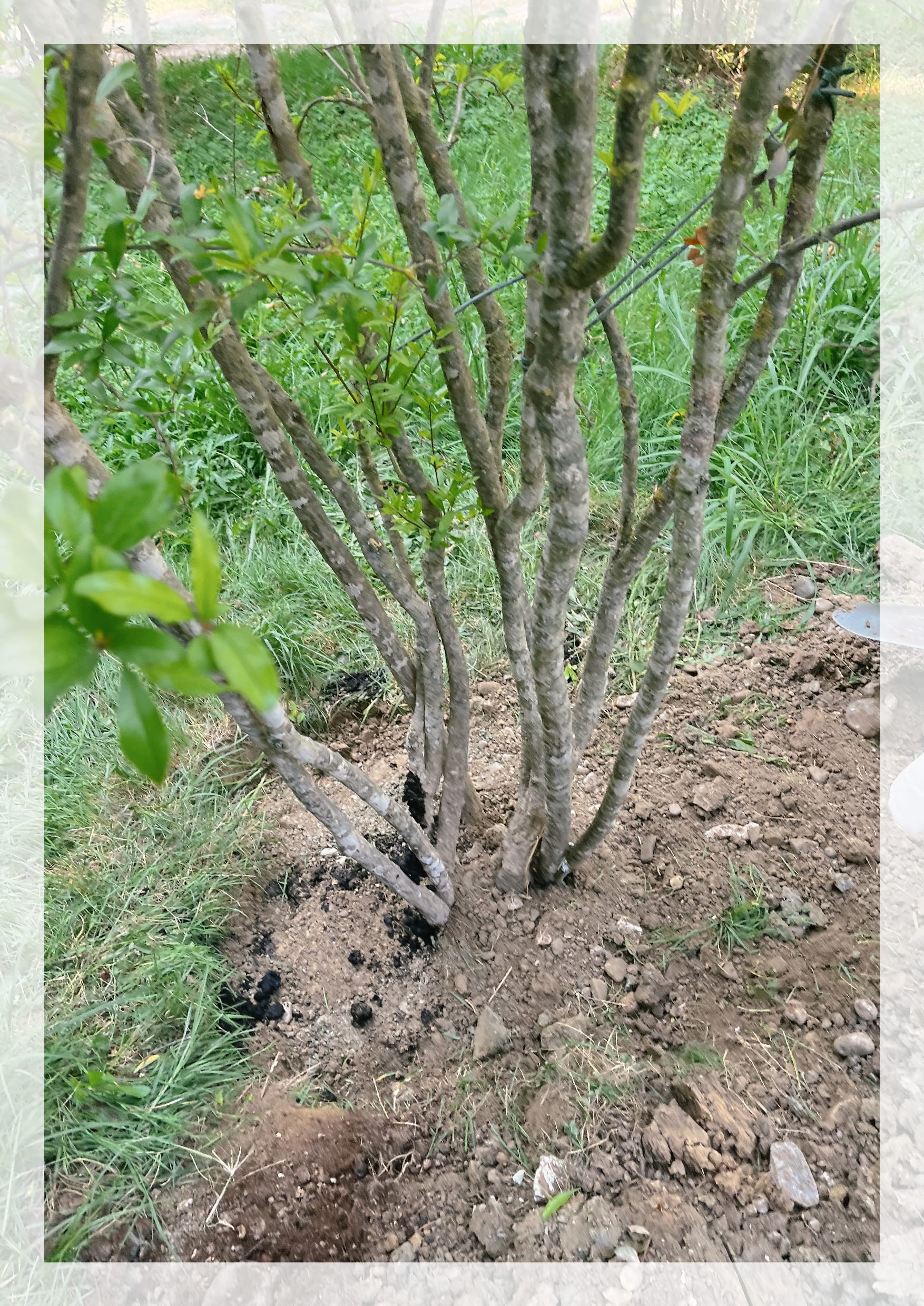 photos web S&L_Artboard 1 copy 4-min