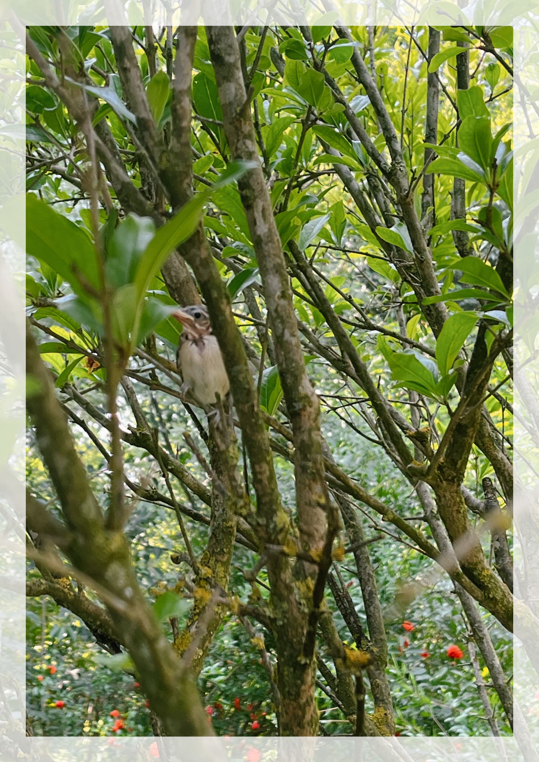 photos web S&L_Artboard 1 copy-min